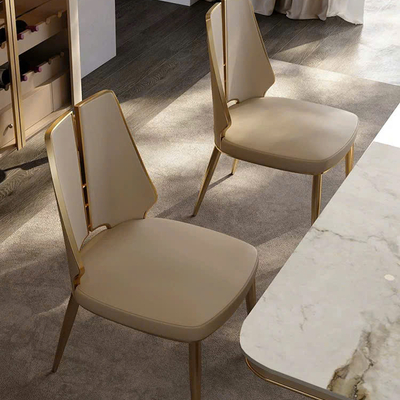 Ghế ăn cao cấp C19