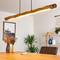 Đèn thả ngang DTN0031