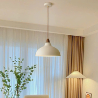 Đèn thả đơn DT0039