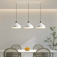 Đèn thả đơn DT0039