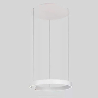 Đèn thả trang trí có gầm thả DT108