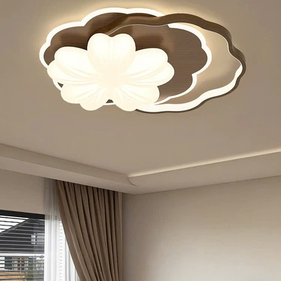 Đèn ốp trần D0057