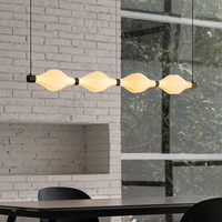 Đèn thả ngang DTN110