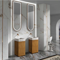 Chậu rửa đứng nhập khẩu B0034