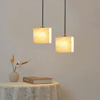 Đèn thả 8020