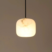 Đèn thả 8069