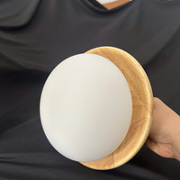 Đèn gắn tường 977