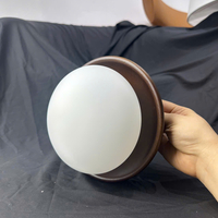 Đèn gắn tường 977
