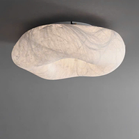 Đèn ốp trần DO016