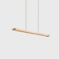 Đèn thả ngang DTN129