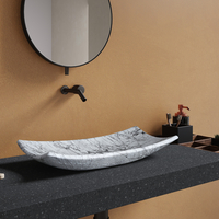 Chậu rửa nhập khẩu B0077.1