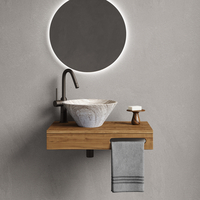 Chậu rửa nhập khẩu B0084.1