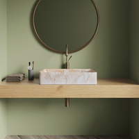 Chậu rửa nhập khẩu B0062.1