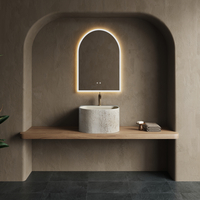 Chậu rửa nhập khẩu B0079