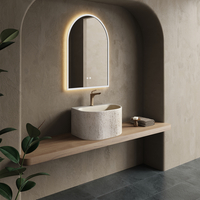 Chậu rửa nhập khẩu B0079