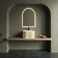 Chậu rửa nhập khẩu B0079.1