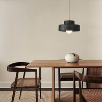 Đèn thả trang trí DT115