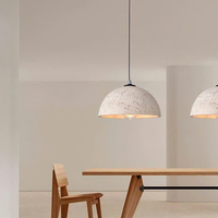 Đèn thả trang trí DT116