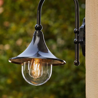 Đèn tường ngoài trời thích ứng mọi điều kiện thời tiết DT0022