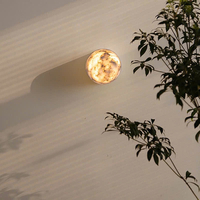 Đèn tường ngoài trời DT0107