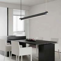 Đèn thả ngang DTN09