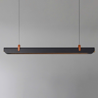 Đèn thả ngang DTN140