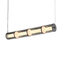 Đèn thả ngang DTN145