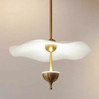 Đèn thả DT263