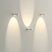 Đèn tường ngoài trời DT00143