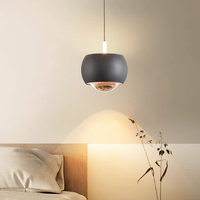 Đèn thả DT279