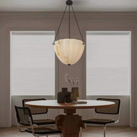 Đèn thả DT288