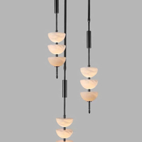Đèn thả DT290