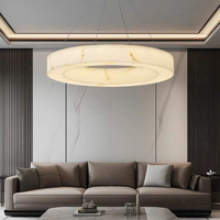 Đèn thả DT293