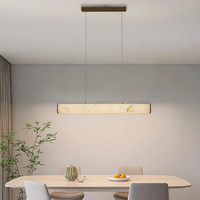 Đèn thả ngang DTN176