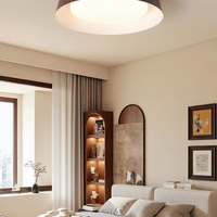 Đèn ốp trần DO026