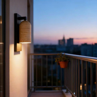 Đèn tường ngoài trời DT00152