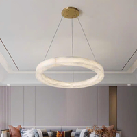 Đèn thả DT304
