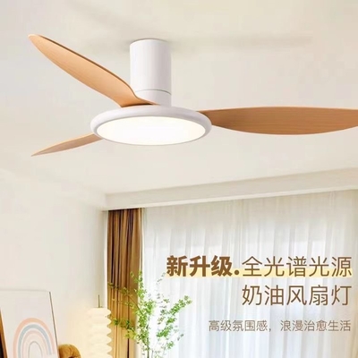 Quạt đèn Bắc Âu 